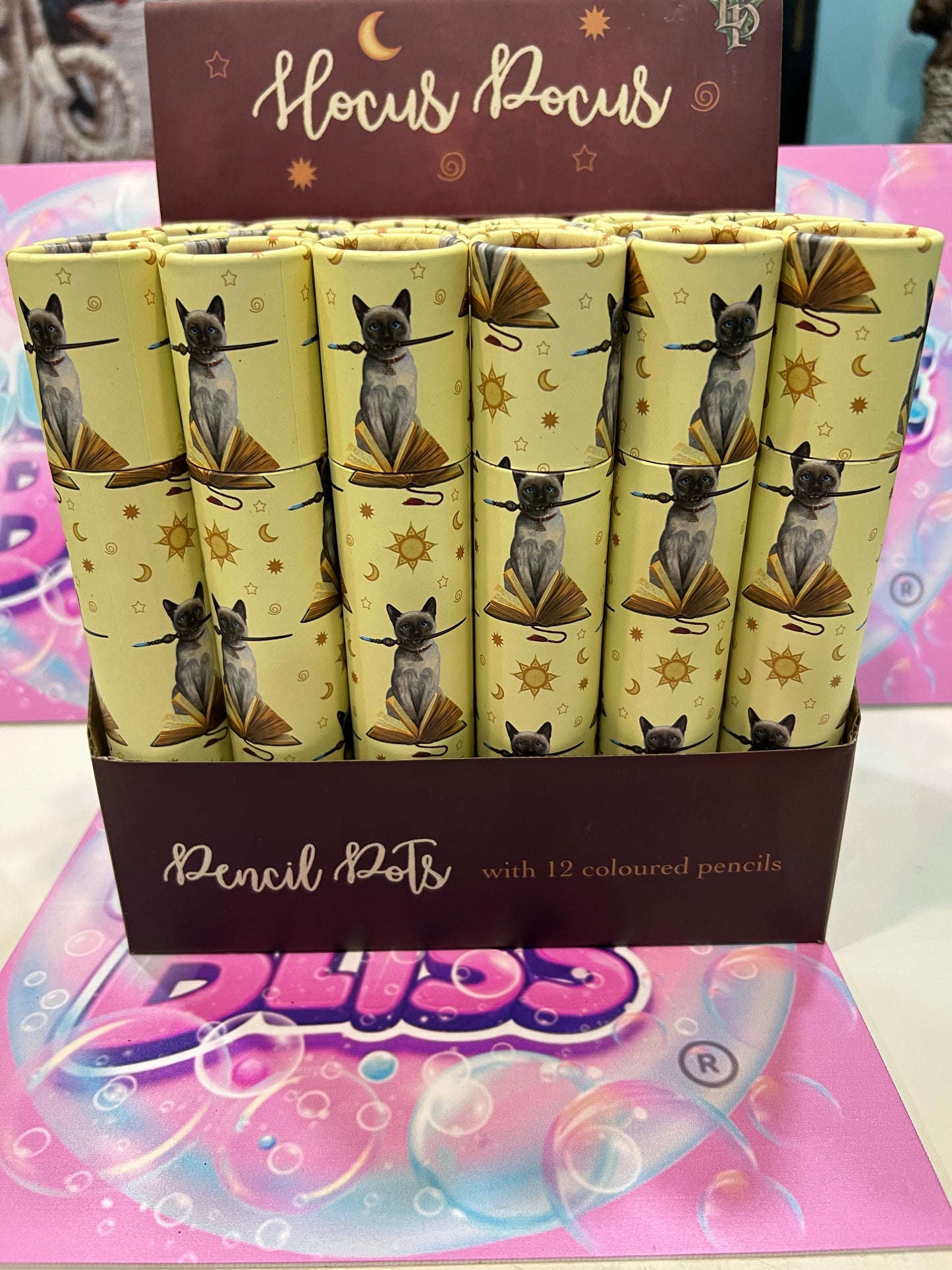 Lisa Parker Gato Hocus Pocus - Tubo grande com 12 lápis de cor