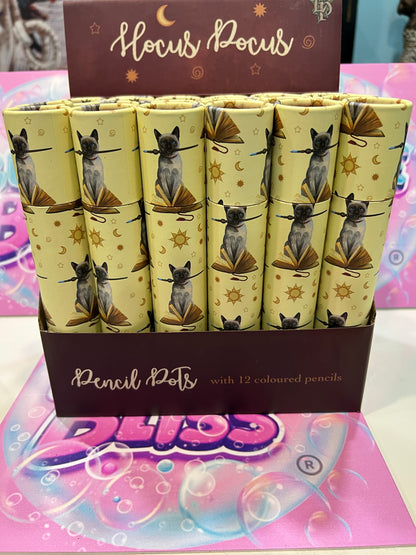 Lisa Parker Gato Hocus Pocus - Tubo grande com 12 lápis de cor